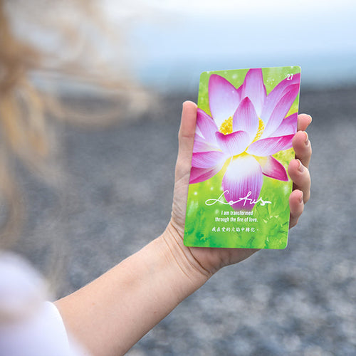 Healing Cards Webinar mit Malira